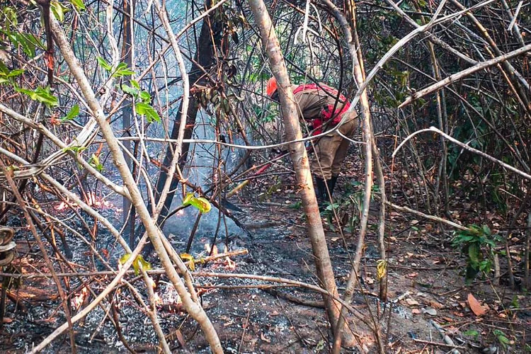 Chapada dos Veadeiros: queimadas ocorrem em meio a um cenário de aumento de focos de incêndio no Cerrado. (Corpo de Bombeiros de Goiás/Reprodução)