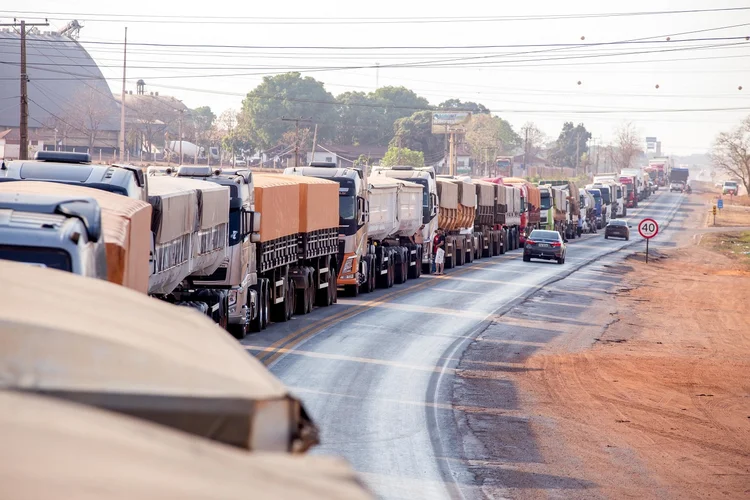 Paralisação de caminhoneiros no Mato Grosso: aliados do presidente e apoiadores do agronegócio bloquearam estradas em 15 estados (CHICO FERREIRA/FUTURA PRESS/FUTURA PRESS/Estadão Conteúdo)