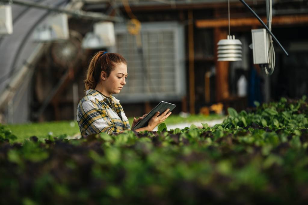 Da maternidade ao agro: empresas buscam startups para acelerar