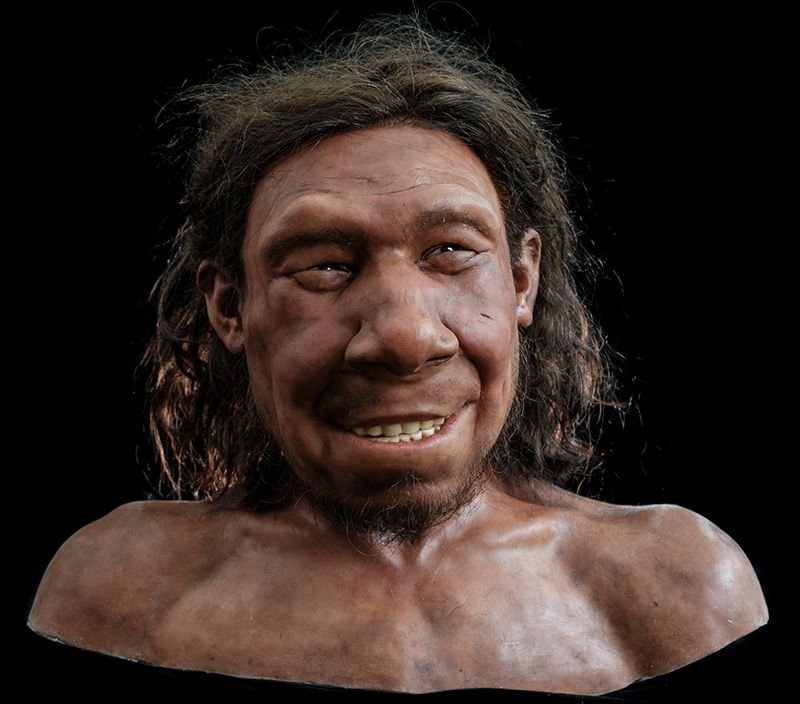 Artistas reconstroem rosto de neandertal de 50 mil anos; veja como era