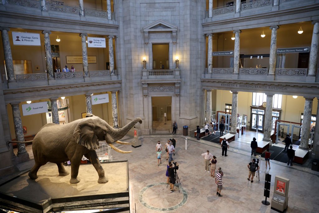 PLAY: A doação que virou o maior complexo de museus do mundo