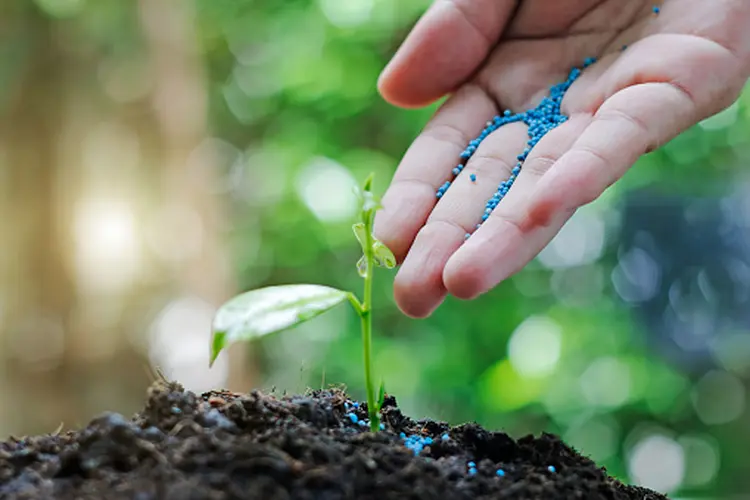 Fertilizantes: crise energética na Europa deve elevar preço do insumo (Getty Images/Getty Images)