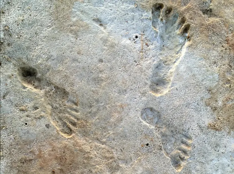 Pegadas fósseis identificadas no Parque Nacional White Sands, em Novo México (Sally Reynolds/Insider/Reprodução)