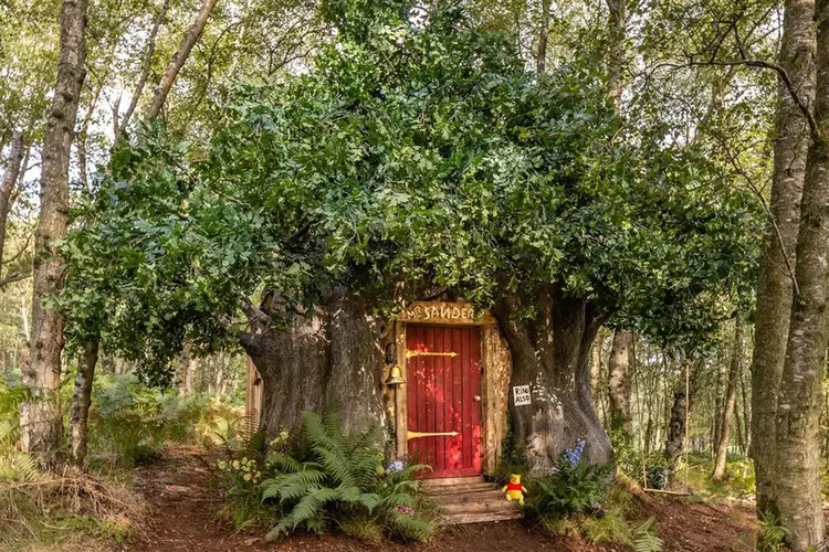 Casa inspirada nos desenhos do Ursinho Pooh. (Airbnb/Reprodução)