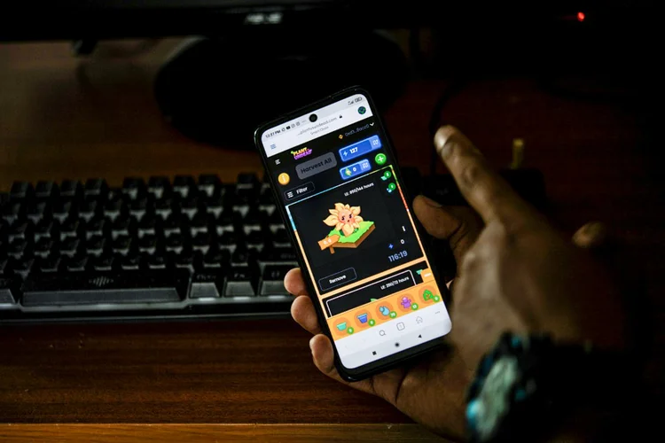O primeiro investimento de Zacary Egea: 80 dólares em um girassol e alguns brotos digitais, o que eventualmente permitirá que ele adquira uma semente para "plantar" uma árvore, que poderá vender por 2 mil dólares quando crescer. (JAVIER TOVAR/AFP)