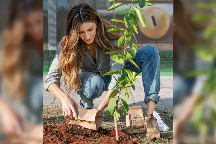 Gisele Bündchen, embaixadora da Ambipar: modelo planta a primeira árvore frutífera do bosque criado por sugestão dela na matriz da empresa em Nova Odessa, no interior de SP (Ambipar/Divulgação)