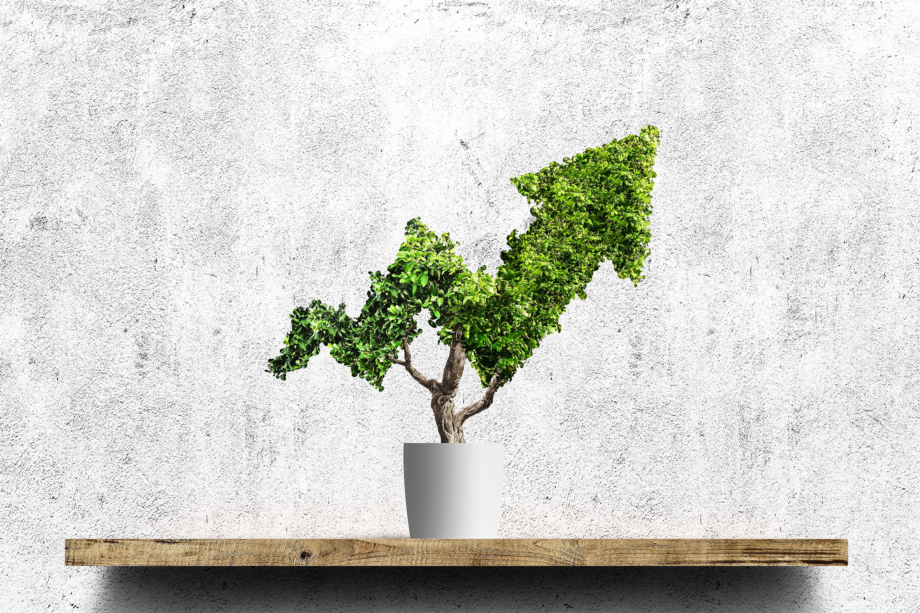 Faça o teste e descubra quanto você sabe sobre ESG