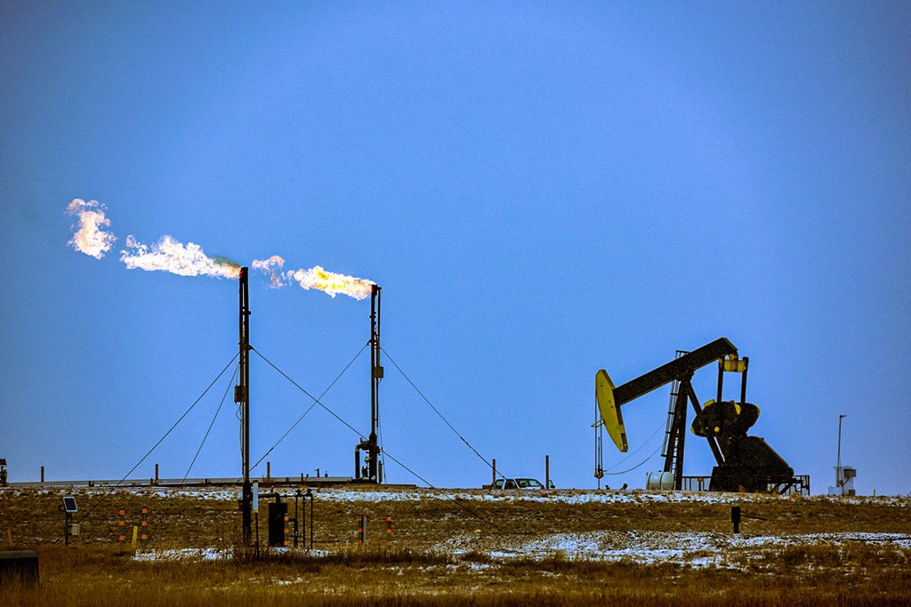 Petróleo: Agência Internacional de Energia divulgou um relatório sobre a commodity.  (Feifei Cui-Paoluzzo/Getty Images)