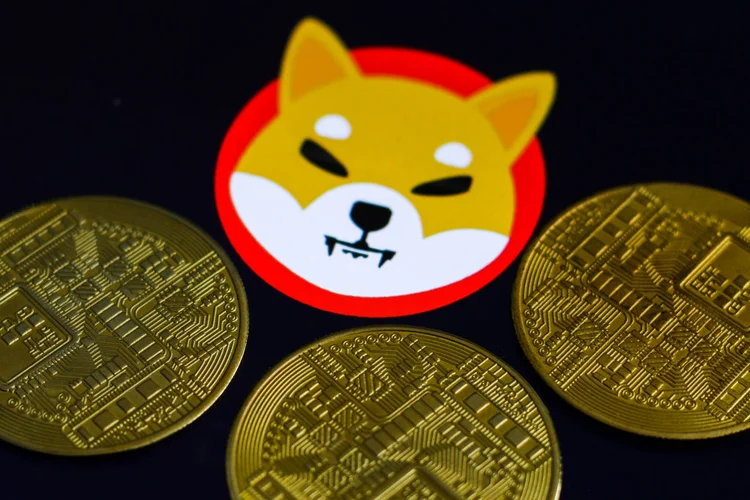 Criptomoeda-meme shiba inu acumula alta de 65% no último mês, mas despencou 40% desde o seu preço recorde (NurPhoto/Getty Images)