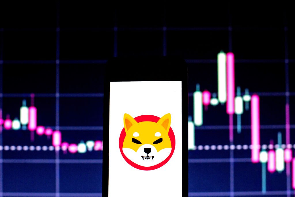 Mais da metade dos investidores de shiba inu no prejuízo, mostram dados