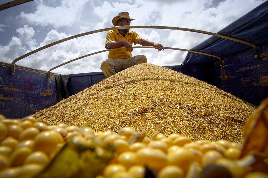 Frete agrícola pode subir até 12% em 2025 e pressionar —  ainda mais — preço dos alimentos