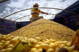 Imagem referente à matéria: Governador do MT avalia cortar benefícios fiscais de empresas que seguem a moratória da soja