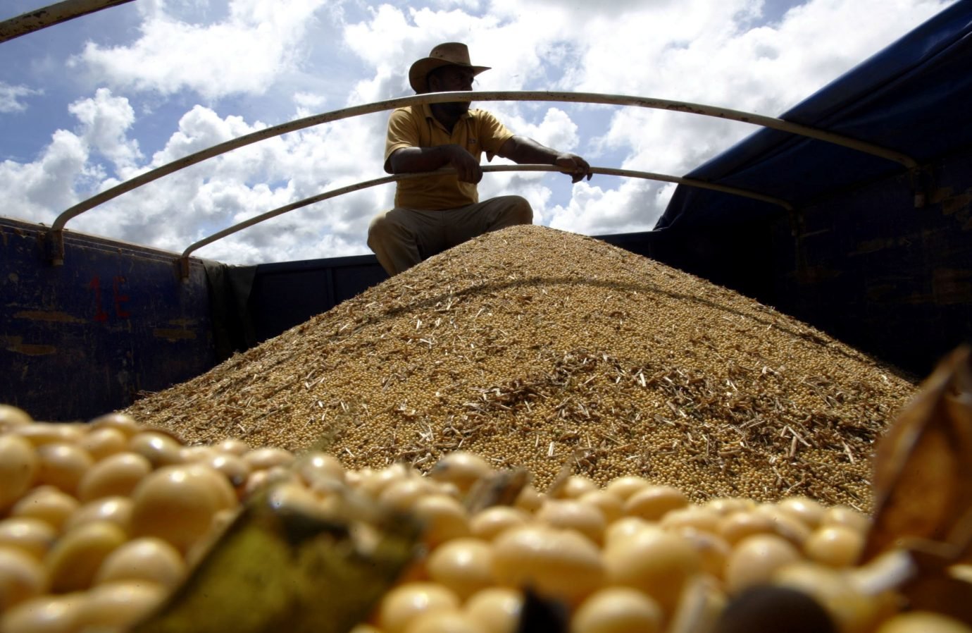 SLC Sementes e Kothe Agro inauguram indústria de beneficiamento de sementes de soja em MT