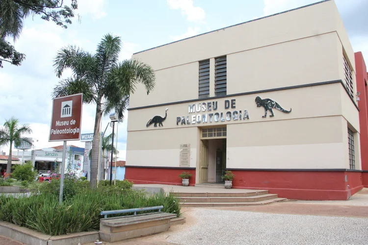 Museu de Paleontologia de Marília (Reprodução/Divulgação)