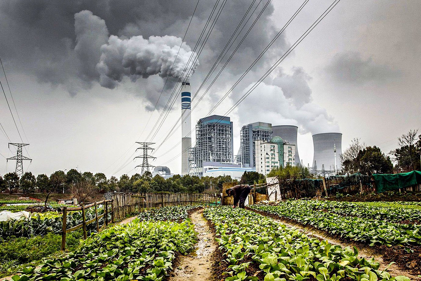 Precificação e a responsabilidade socioambiental do crédito de carbono