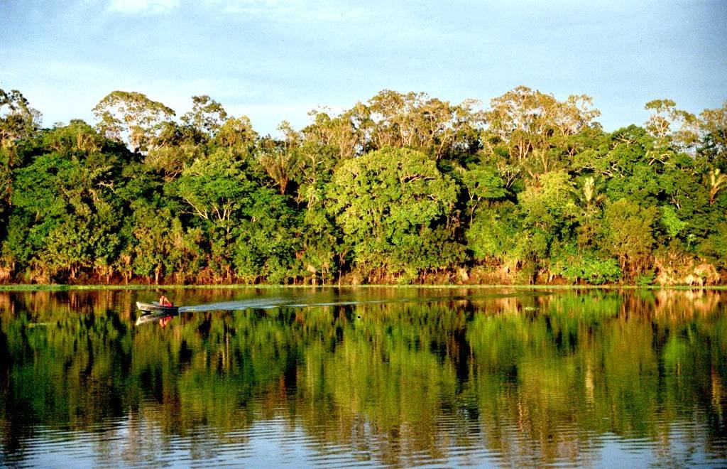 Amazônia: bioma vira foco de discussões sobre o clima (Andre Deak/Flickr)