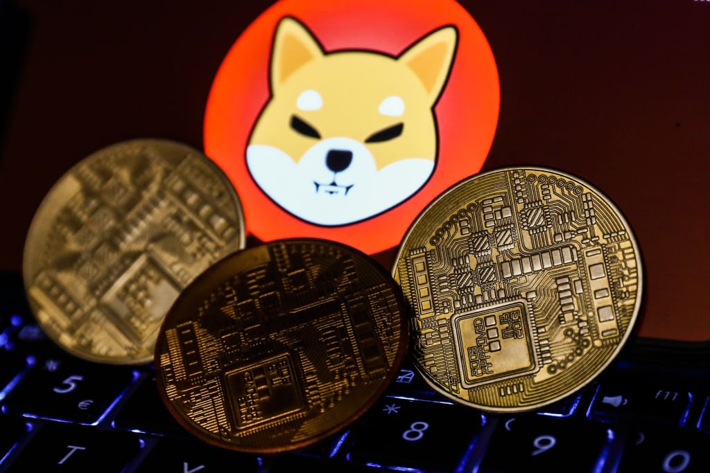Shiba Inu vai lançar blockchain próprio para abrigar suas criptomoedas (NurPhoto/Getty Images)