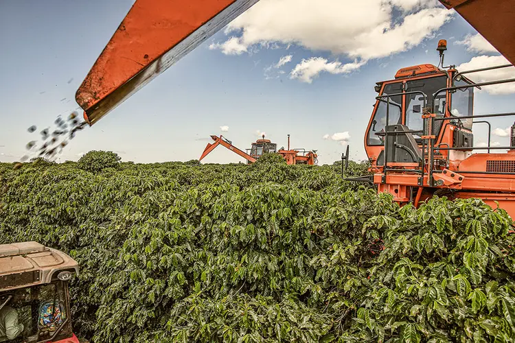 Startup argentina desenvolveu método para tokenizar produção de agricultores e usar em financiamentos (Victor Moriyama/Bloomberg //Getty Images)