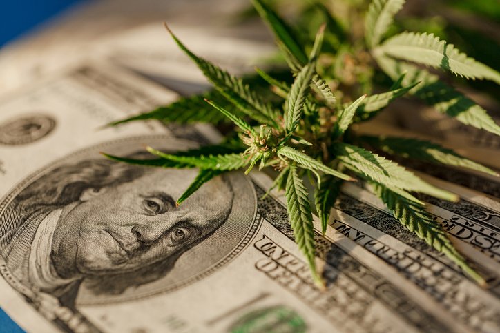 Maconha: avanços regulatórios em diversos países têm atraído atenção dos investidores para empresas ligadas a cannabis (Aleksandr_Kravtsov/Getty Images)