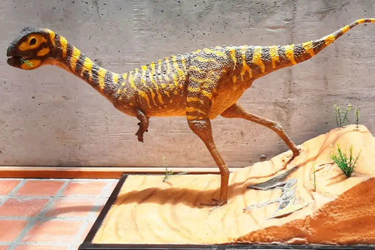 Réplica do dinossauro Berthasaura leopoldinae. (Museu Nacional/UFRJ/Divulgação)