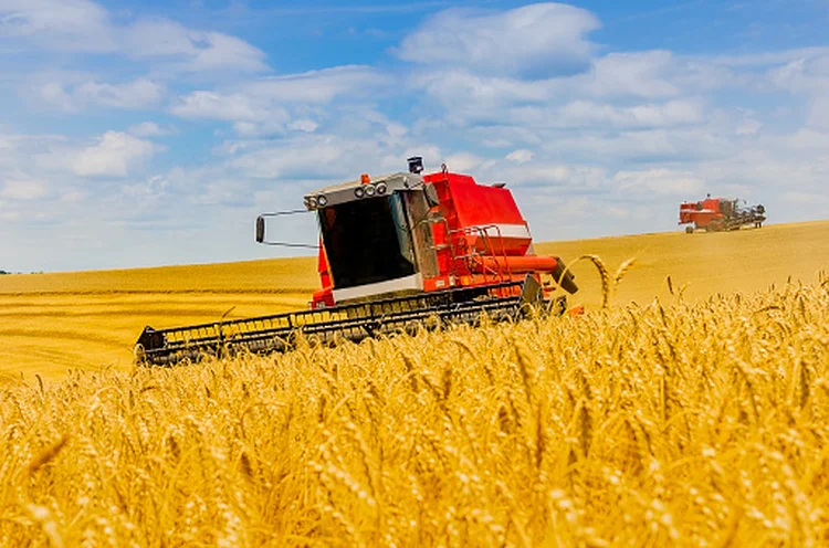 Podcast discute fundos de investimento do agronegócio, criados neste ano (Getty Images/Getty Images)