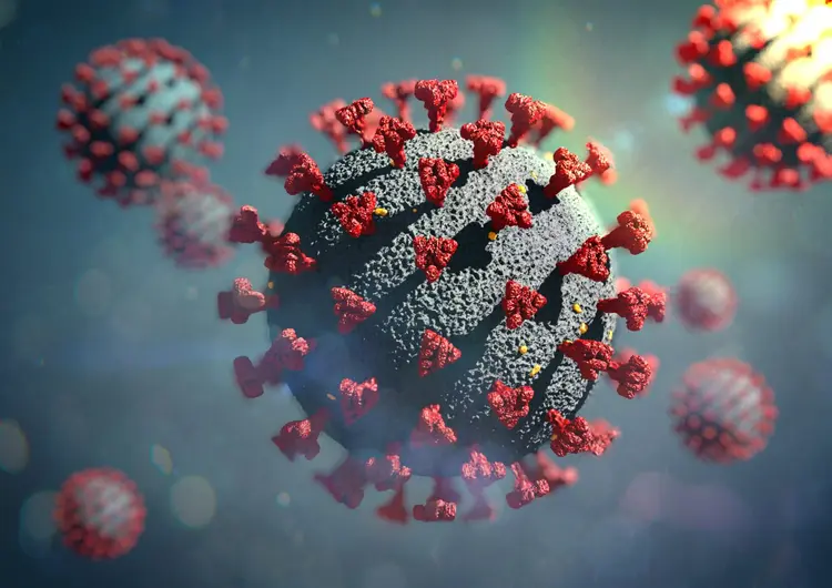 Coronavírus: as duas variantes possuem mutações na proteína Spike (Erlon Silva - TRI Digital/Getty Images)