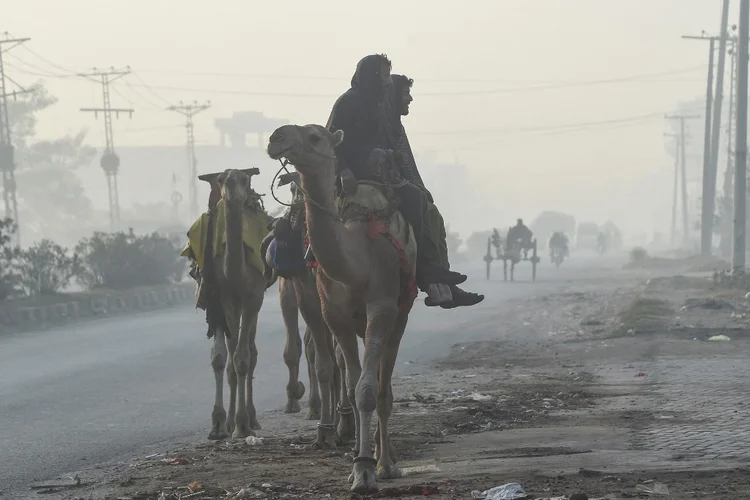  (Arif ALI/AFP)