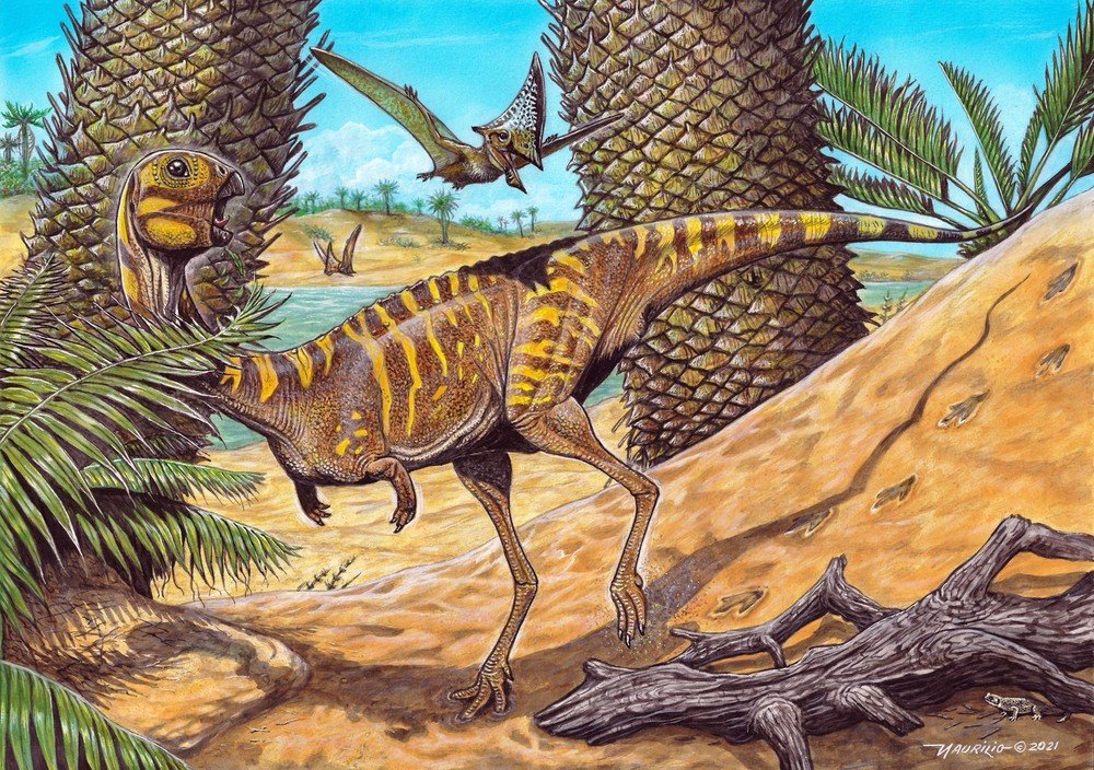 Maioria dos dinossauros tinha sangue quente como as aves, revela estudo
