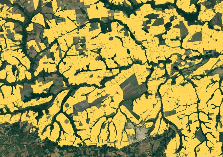Imagens do software sobre plantação de soja no Brasil (Divulgação/Divulgação)