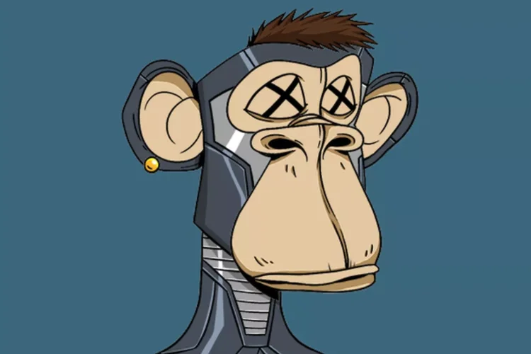 Coleções de NFTs como Bored Ape Yatch Club, Mutant Ape Yatch Club, CyberKongz e Cool Cats foram afetadas (divulgação/Divulgação)