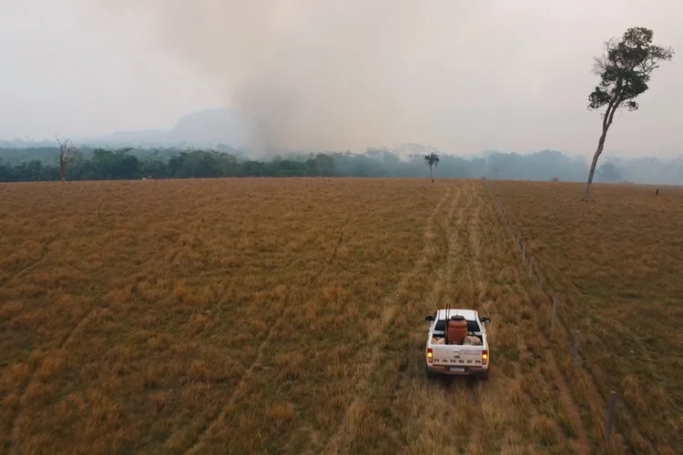 A JBS, líder global em alimentos à base de proteína, anunciou investimentos de R$ 26 milhões para monitorar e combater as queimadas no Pantanal (JBS/Divulgação)