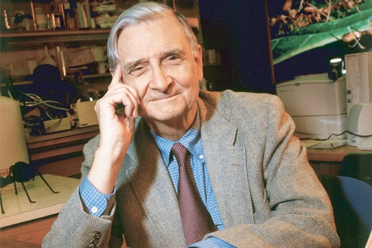 Edward O. Wilson. (Jim Harrison/Wikimedia Commons)