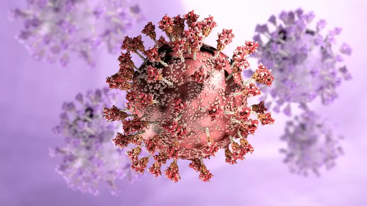 Covid-19: Galante afirma que as mutações que podem ocorrer no vírus ajudam a explicar por que a ideia de que o vírus se torna menos letal conforme evolui não é uma regra. (Naeblys/Getty Images)