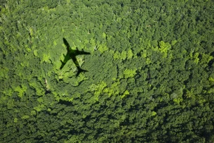 Brasil lidera produção de combustível sustentável para aviação na América Latina, revela MIT