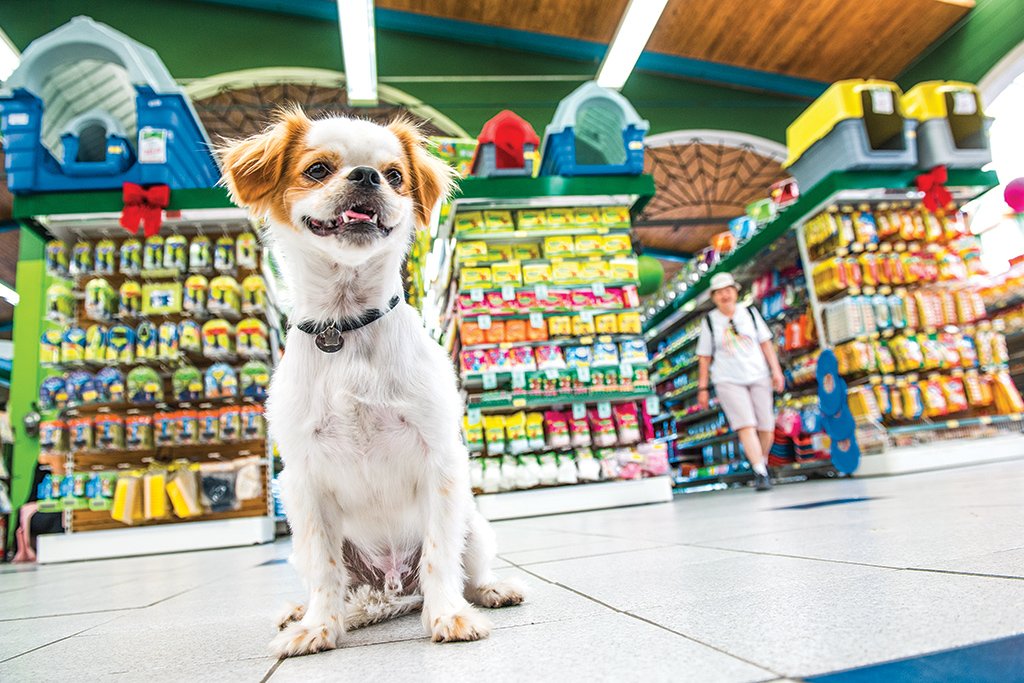 Cobasi traz alimento natural em lata e produtos de higiene para seu pet