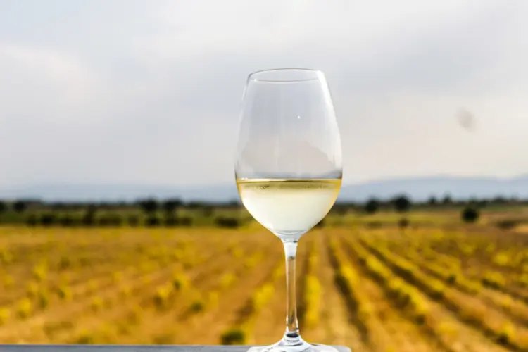 Chablis: é de lá que vêm a famosa uva Chardonnay, cultivada em solo diferenciado, com calcário na superfície e uma camada de argila com fósseis marinhos de outras eras. (Levani Kalmaxelidze / EyeEm/Getty Images)