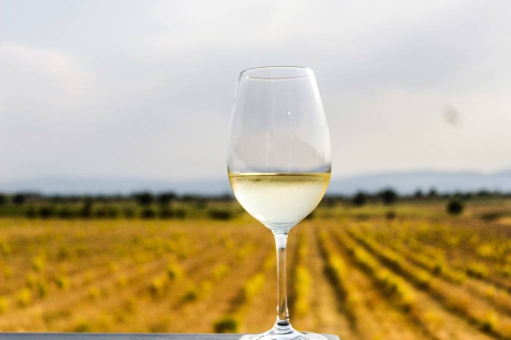 Chablis: 3 rótulos da região especializada em vinhos brancos