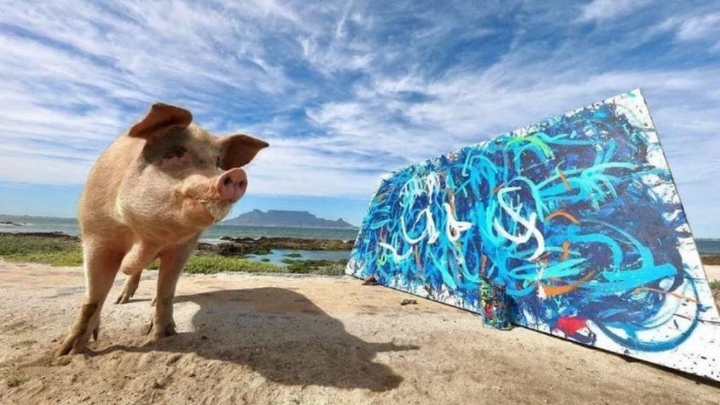 Porca pintora 'Pigcasso' vende quadro por 150 mil reais e quebra recorde