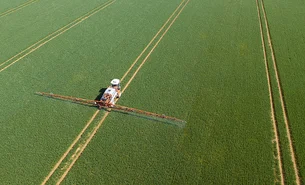 Inadimplência no agronegócio fecha 2024 em 7,6%, com maiores índices entre grandes produtores