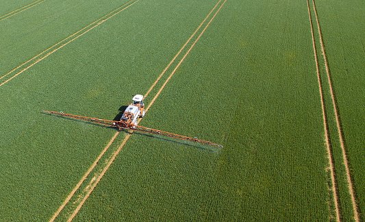 Brasil é case de sucesso de produção que concilia boas práticas ambientais (Getty Images/Getty Images)