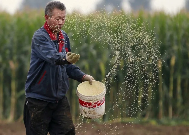 A província chinesa de Heilongjiang, maior produtora de soja do país, pretende aumentar área plantada (Kim Kyung-Hoon/Reuters)