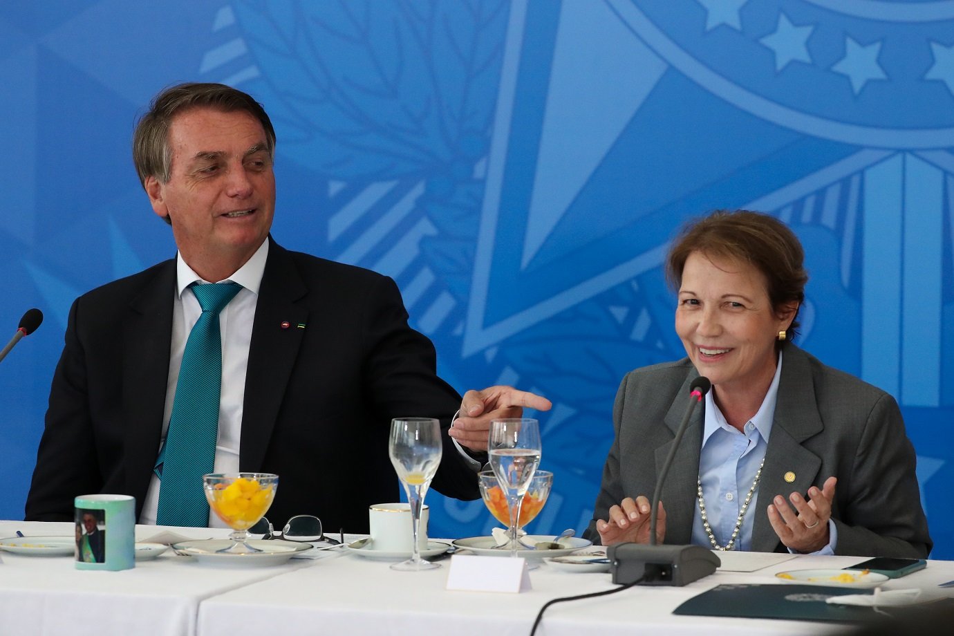 Centrão pressiona Bolsonaro e tenta emplacar Tereza Cristina como vice