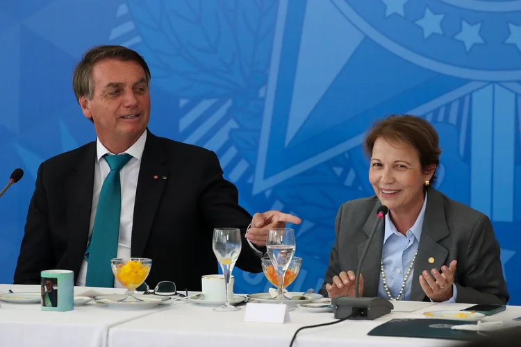 Ex-presidente Jair Bolsonaro ao lado da ex-ministra Tereza Cristina (Isac Nóbrega/PR/Flickr)