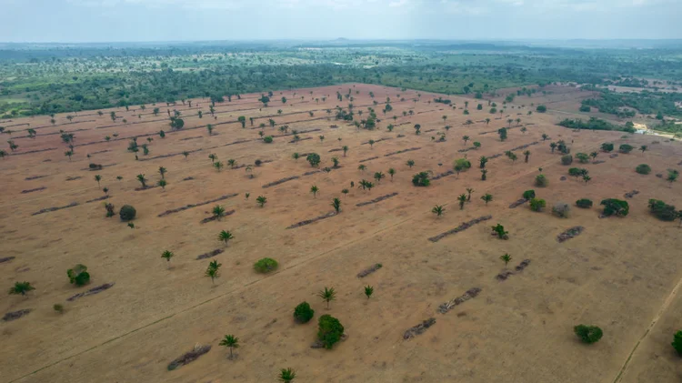 Fogo em Terras Indígenas do Cerrado Atinge 2,8 Milhões de Hectares até Setembro de 2024 (Jonne Roriz/Getty Images)