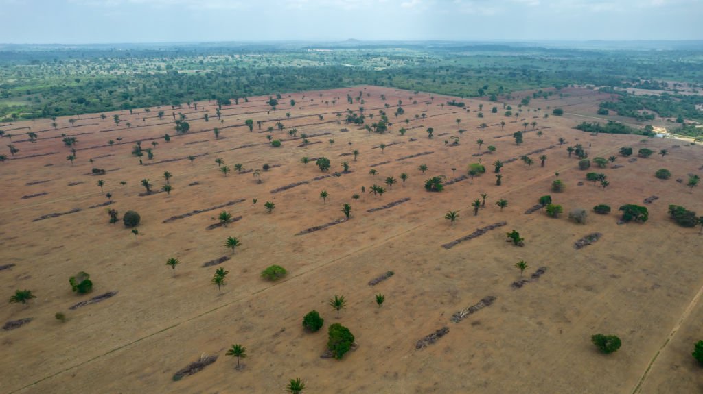 Deforested land for cattle near Xinguara, Para state, Brazil, on Wednesday, Oct. 6, 2021. Six European retail groups, including Sainsbury's in the United Kingdom and Carrefour in Belgium, are restricting Brazilian beef purchases due to new findings linking cattle production to deforestation in the Amazon, Cerrado and Pantanal. Photographer: Jonne Roriz/Bloomberg via Getty Images (Jonne Roriz/Getty Images)