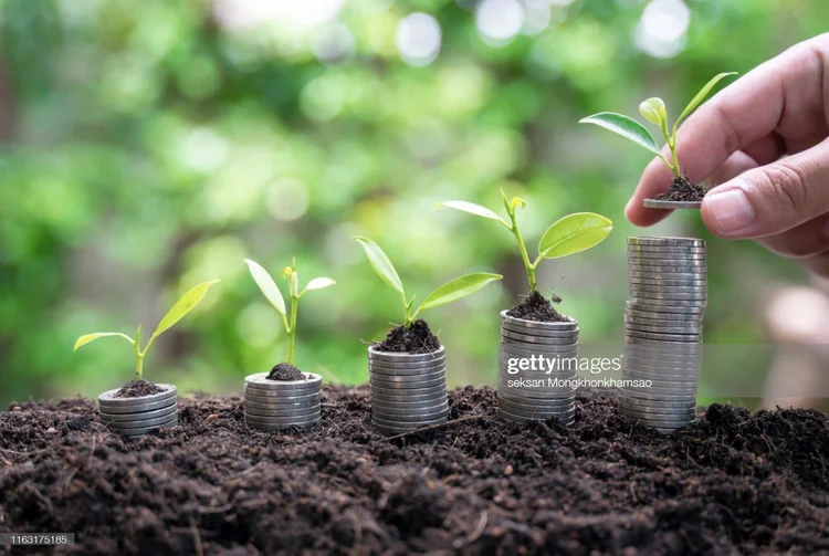 Small plants that are on stacked coins and ideas for saving money and increasing business profits (getty images/Getty Images)