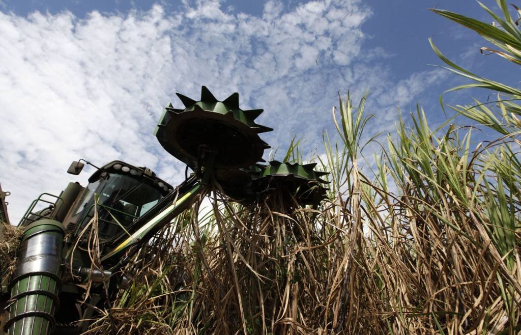 Produção de açúcar no Brasil deverá crescer 34,4% no ano, diz S&P Global