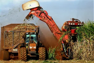 Menos máquinas e infra: 53% dos produtores de SP projetam não investir em 2026