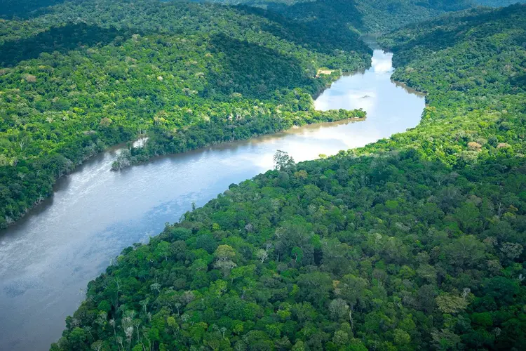 Projeto REDD+ no Vale do Jari, na região do Pará e do Amapá: adoção de técnicas sustentáveis já evitou o desmatamento de 64.866 hectares de floresta nos últimos 30 anos (AMBIPAR/Divulgação)