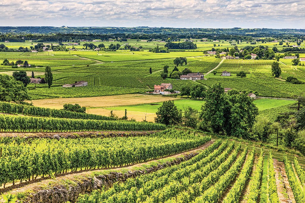 Como pequenos produtores de Bordeaux estão crescendo